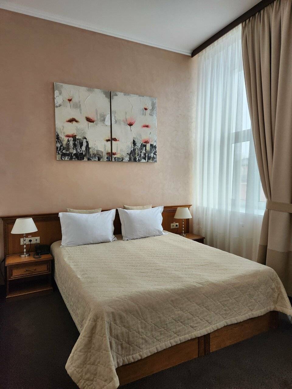 Фото Гостиницы Николь Волоколамск 166