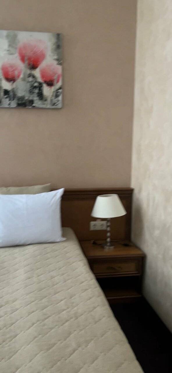 Фото Гостиницы Николь Волоколамск 153