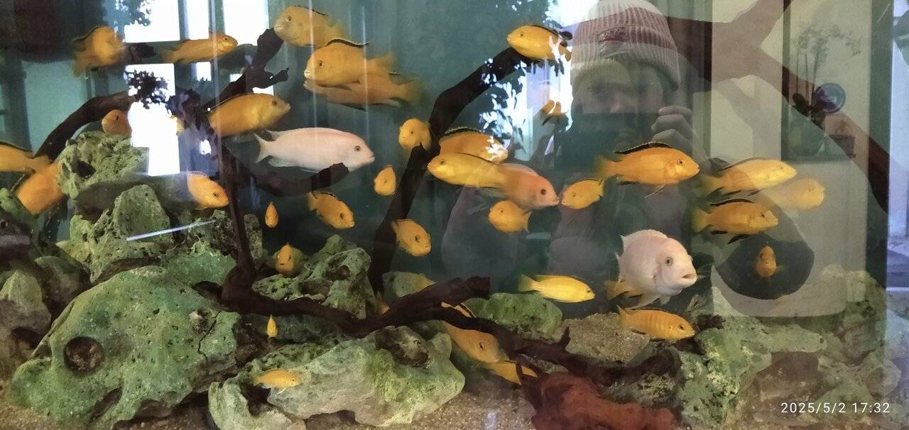 Фото Гостиницы Николь Волоколамск 78