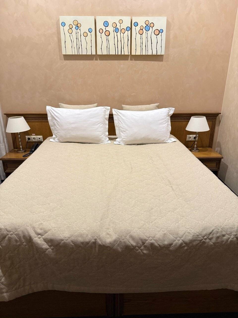 Фото Гостиницы Николь Волоколамск 112