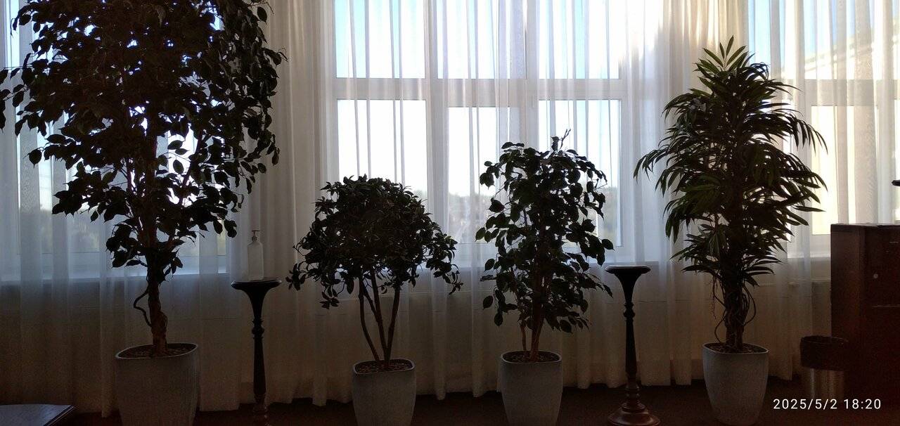 Фото Гостиницы Николь Волоколамск 103